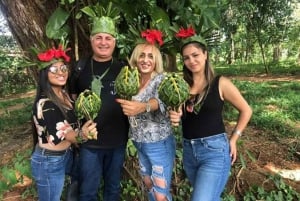 Kayak Tour in Mangrove Forest & Spice farm tour with lunch