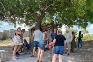 Kendwa Quad : Исследуйте сердце Занзибара на квадроцикле