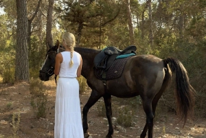 Zambia: Halvdagstur til Victoria Falls med hestesafari og frokost