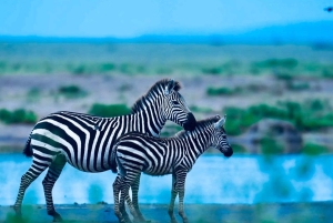 Kenya e Tanzania: Safari della Grande Migrazione di 10 giorni