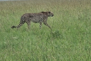 Kenia en Tanzania: 9-daags privé safaripakket voor het middensegment