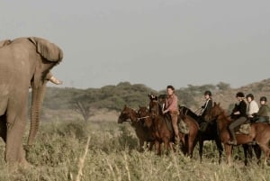Zambia: Halvdagstur til Victoria Falls med hestesafari og frokost