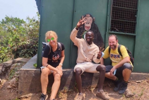 Kigoma: 2-Day Gombe National Park Chimpanzee Trekking Tour