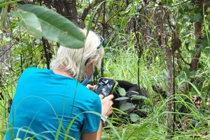 Kigoma: Escursione di un giorno al Parco Nazionale di Gombe con trekking degli scimpanzé