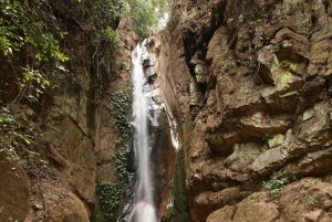 Kigoma: Escursione di un giorno al Parco Nazionale di Gombe con trekking degli scimpanzé