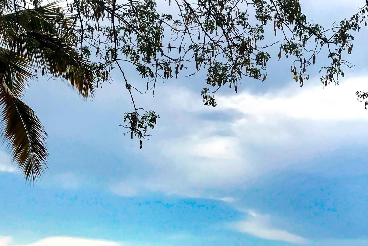 キゴマ：タンガニーカ湖ツアーとカヌー遊覧をお楽しみください