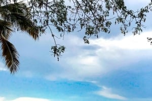 キゴマ：タンガニーカ湖ツアーとカヌー遊覧をお楽しみください