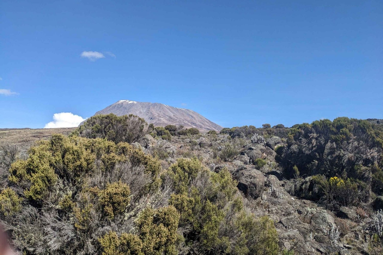 Групповой тур #1-Day Hike Marangu Kilimanjaro