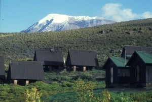 Kilimanjaro: 14-Day Climb and Zanzibar Island Retreat