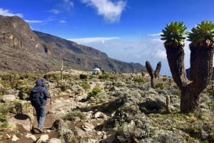 Kilimanjaro: 14-Day Climb and Zanzibar Island Retreat