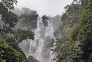 Kilimanjaro: 3 días de safari por el Serengueti y Ngorongoro