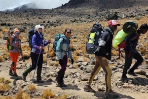 Kilimanjaro: 5-dagars Marangu Route Trek med boende