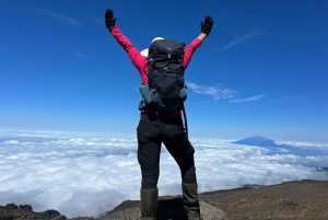 Kilimanjaro: 5-dagars Marangu Route Trek med boende