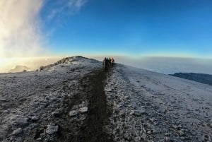 Kilimanjaro: 6 dages Machame Route Trek med hotelophold