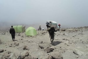 Kilimanjaro: 6 dages Machame Route Trek med hotelophold