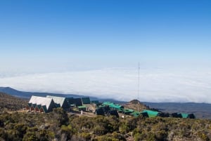 Kilimanjaro: 6 dages Machame Route Trek med hotelophold