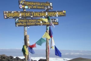 Kilimanjaro: 6 dages Machame Route Trek med hotelophold
