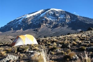 Kilimanjaro: 6 dages Machame Route Trek med hotelophold