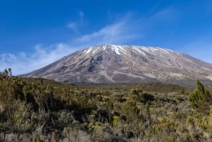 Kilimanjaro: 6 dages Machame Route Trek med hotelophold