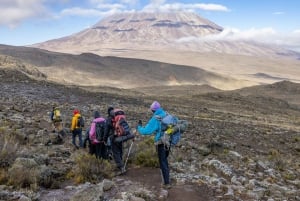 Kilimanjaro: 6 dages Machame Route Trek med hotelophold