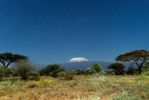 Kilimanjaro: 6 dages Machame Route Trek med hotelophold