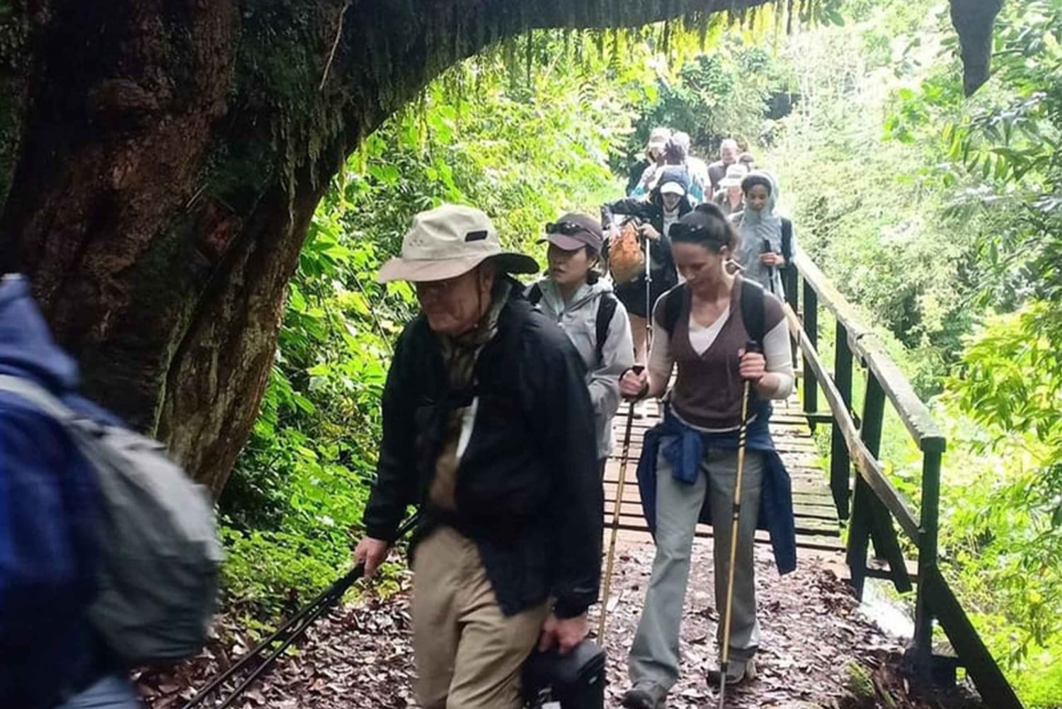 Kilimanjaro: ruta de senderismo de 6 días por Umbwe