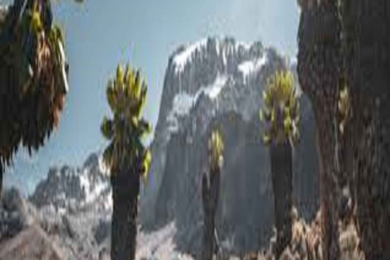 Kilimanjaro: ruta de senderismo de 6 días por Umbwe