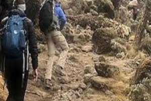 Kilimanjaro: 6-Day Trekking Umbwe Route