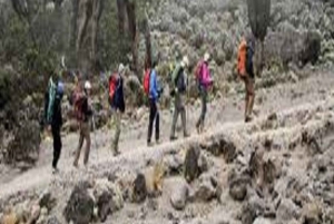 Kilimanjaro: ruta de senderismo de 6 días por Umbwe