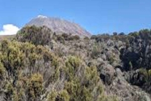 Kilimanjaro: ruta de senderismo de 6 días por Umbwe