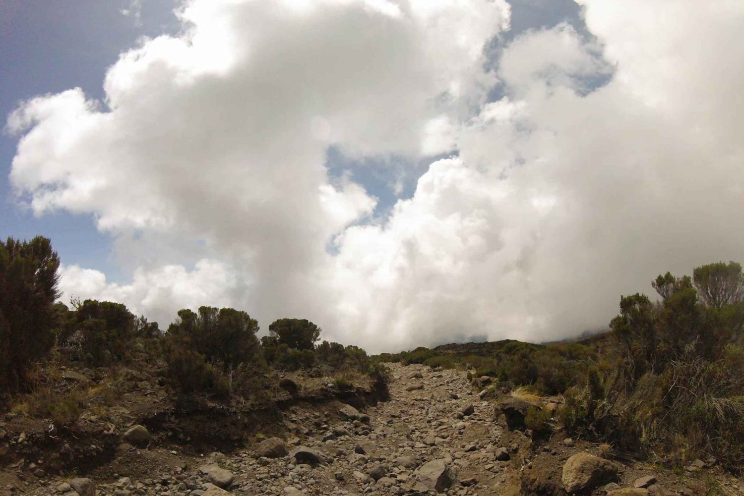 Moshi : visite citadine et marché local