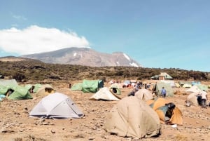 Moshi: tour de la ciudad y visita al mercado local