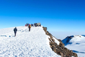 Moshi: tour de la ciudad y visita al mercado local