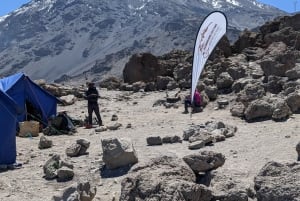 Moshi: tour de la ciudad y visita al mercado local