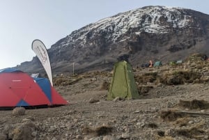 Moshi: tour de la ciudad y visita al mercado local