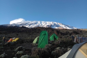 Kilimanjaro: 7-Day Machame Route Trek with 2 Nights Hotel