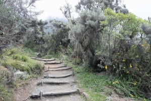Kilimanjaro: 7-Day Machame Route Trek