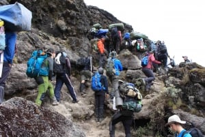 Kilimanjaro: 7-Day Machame Route Trek