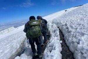 Kilimanjaro: 7-daagse Marangu-route met hutaccommodatie