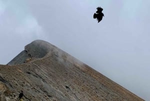 Kilimanjaro: 7-daagse Marangu-route met hutaccommodatie