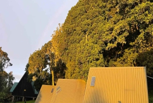 Kilimanjaro: 7-daagse Marangu-route met hutaccommodatie