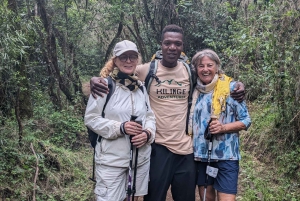 Kilimanjaro: Best 6-Day Mount Kilimanjaro Marangu Route Trek