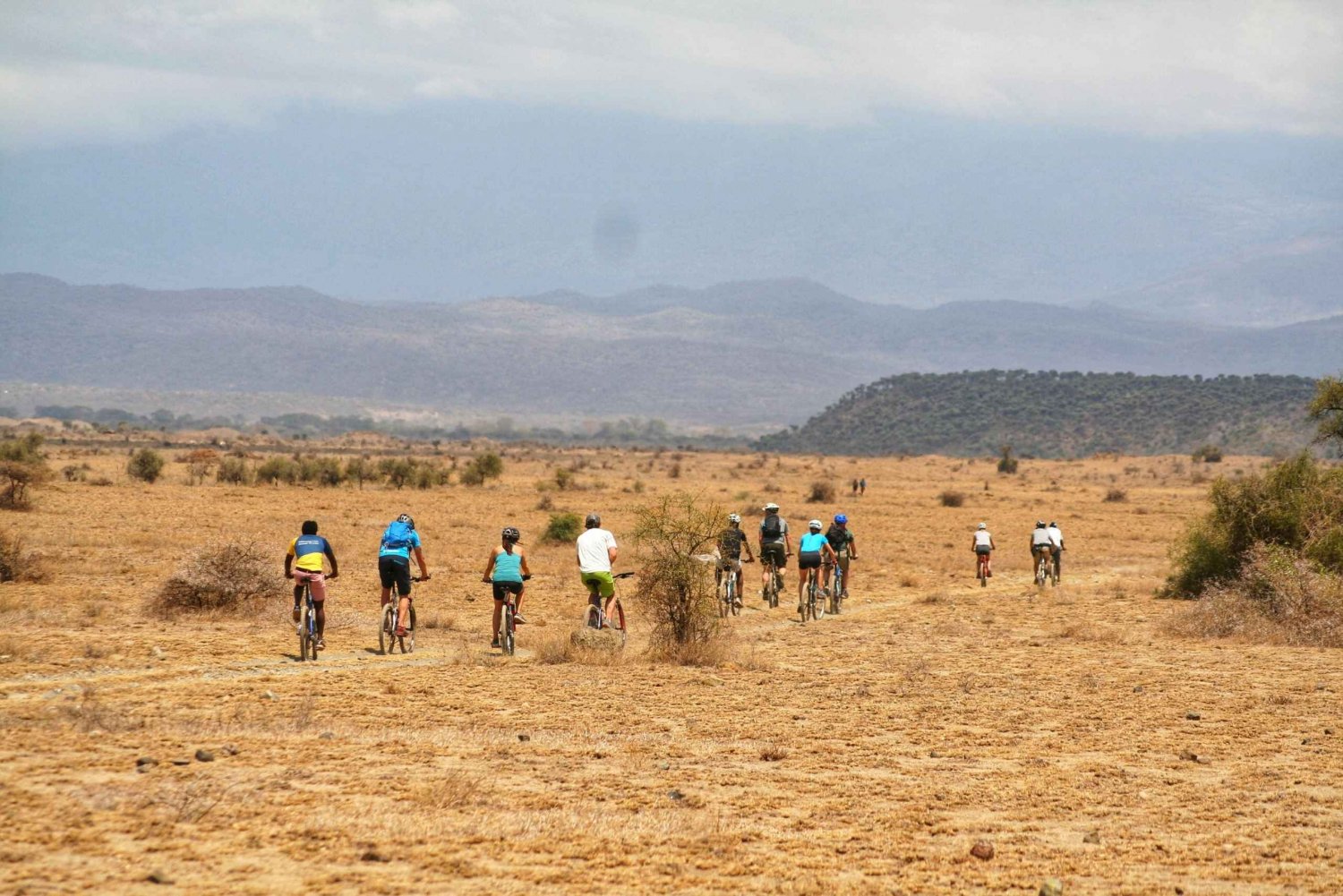 Сафари в велосипедном парке Килиманджаро