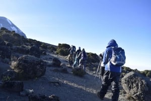 Escalada Kilimanjaro - Rongai 6 Dias 5 Noites