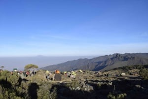 Kilimanjaro-bestigning - Rongai 6 dagar 5 nätter