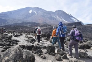 Bestigning af Kilimanjaro - Rongai 6 dage 5 nætter