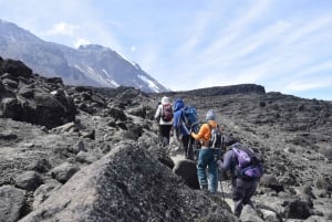 Bestigning af Kilimanjaro - Rongai 6 dage 5 nætter