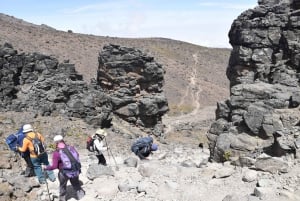 Salita del Kilimangiaro - Rongai 6 giorni 5 notti