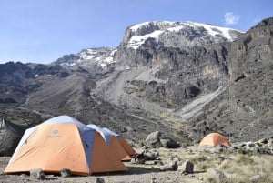Wspinaczka na Kilimandżaro - Rongai 6 dni 5 nocy