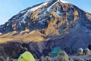 Kilimanjaro Climb Umbwe Route Home Mt. Trekking